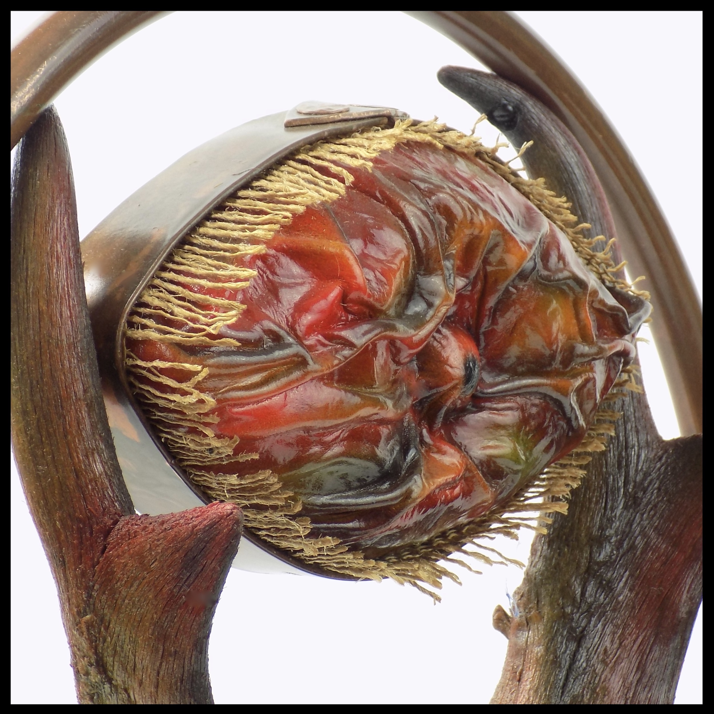 Pronghorn wet-molded leather detail