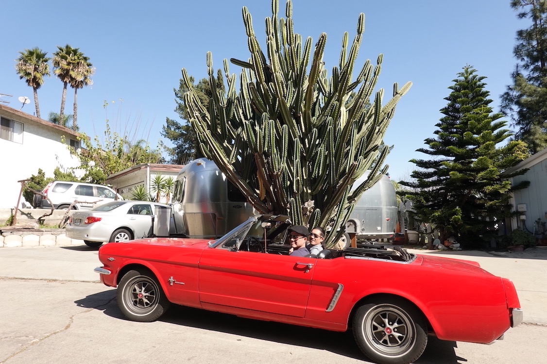 2 Peter and Patricia's driveway, Allison Strauss